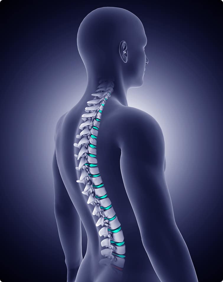 https://www.tractoneuro.com.br/wp-content/uploads/2023/02/coluna-vertebral.jpg
